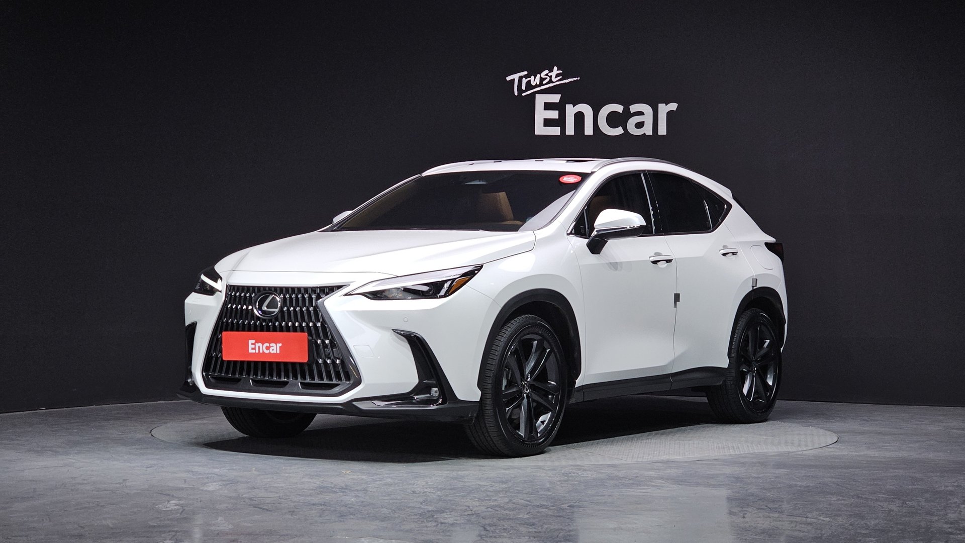 LEXUS NX - View 1