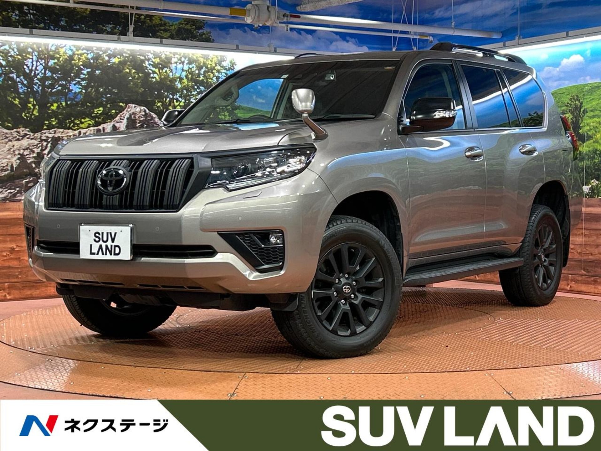 TOYOTA LAND CRUISER PRADO - View 1