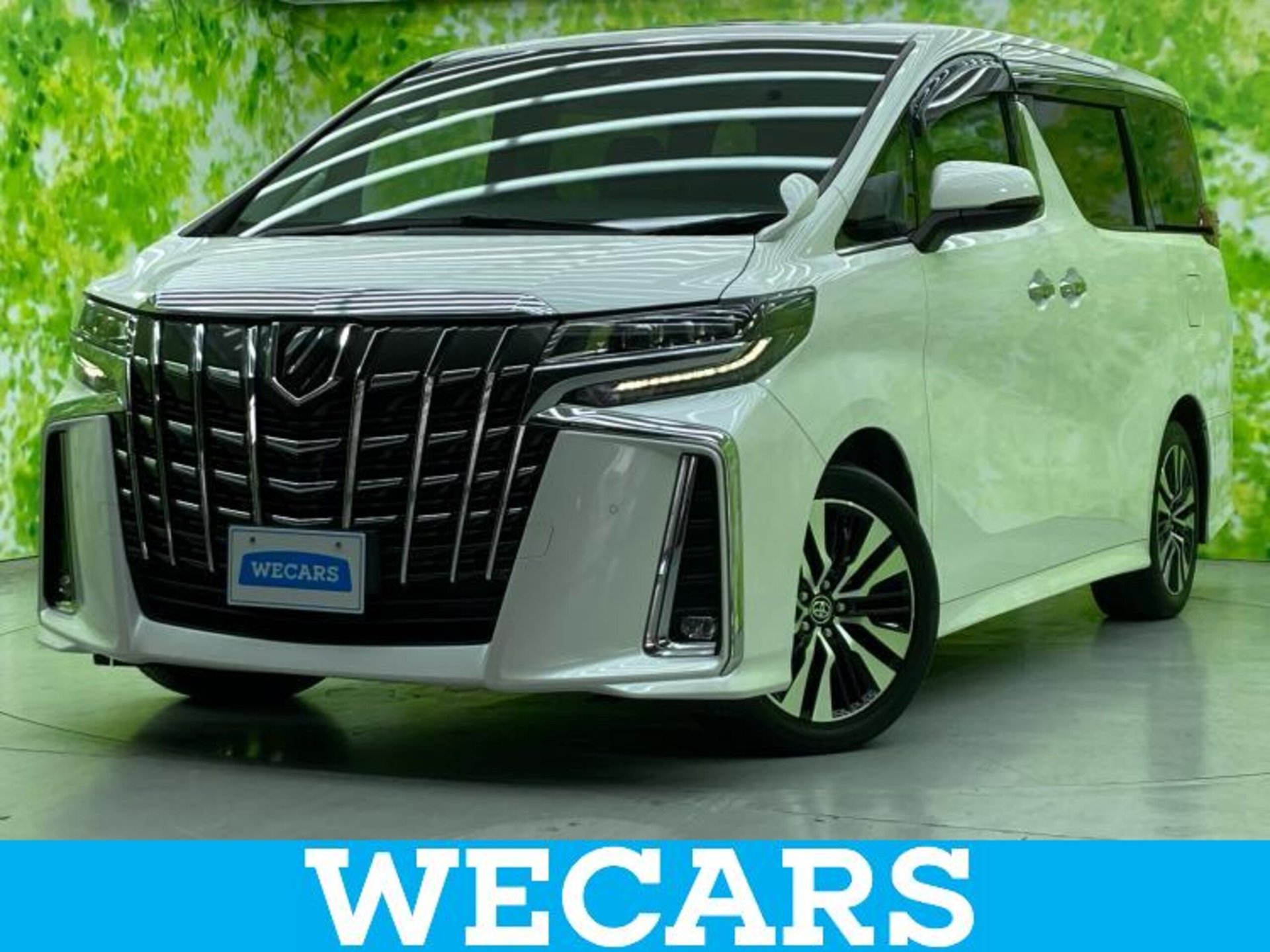 TOYOTA ALPHARD - View 1