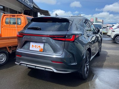 2023 Lexus NX 照片 2