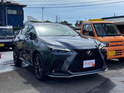 2023 Lexus NX 缩略图 21