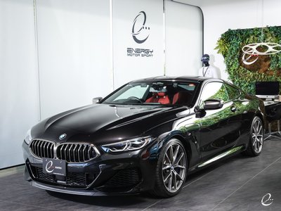 2019 BMW 8 SERIES 缩略图 31