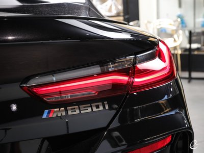 2019 BMW 8 SERIES 缩略图 56