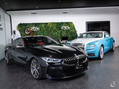 2019 BMW 8 SERIES 缩略图 24