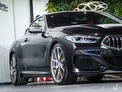2019 BMW 8 SERIES 缩略图 13