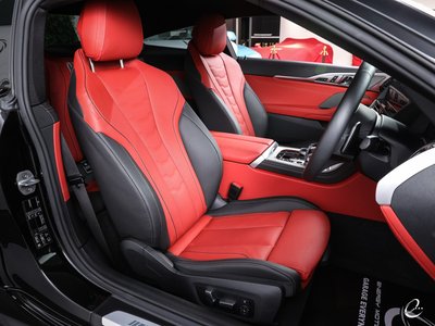 2019 BMW 8 SERIES 缩略图 67