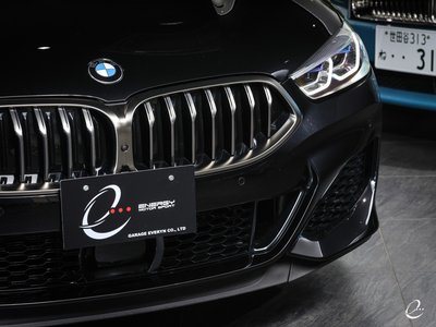 2019 BMW 8 SERIES 缩略图 19
