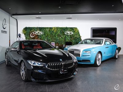 2019 BMW 8 SERIES 缩略图 25