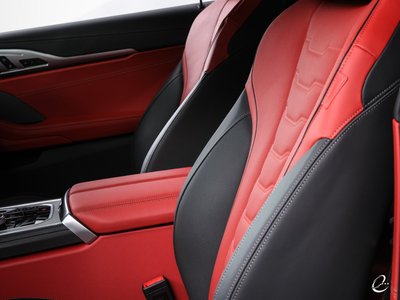 2019 BMW 8 SERIES 缩略图 75