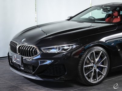 2019 BMW 8 SERIES 缩略图 33