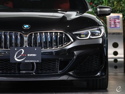 2019 BMW 8 SERIES 缩略图 29