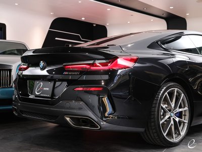 2019 BMW 8 SERIES 缩略图 54