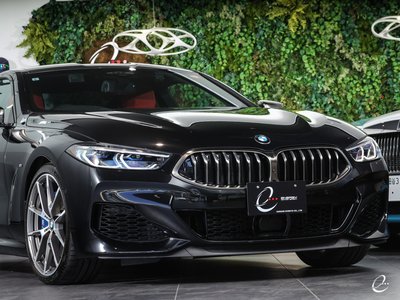 2019 BMW 8 SERIES 缩略图 14