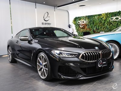 2019 BMW 8 SERIES 缩略图 61