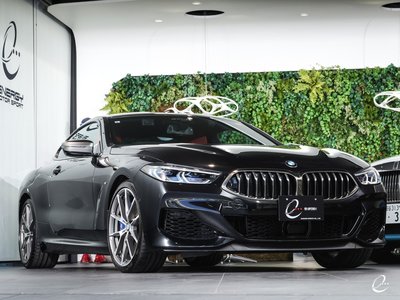 2019 BMW 8 SERIES 缩略图 12
