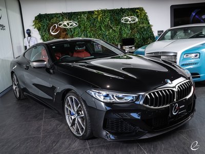 2019 BMW 8 SERIES 缩略图 26