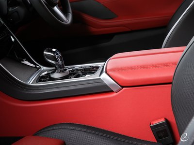 2019 BMW 8 SERIES 缩略图 74