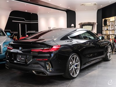 2019 BMW 8 SERIES 缩略图 51