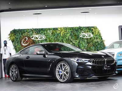 2019 BMW 8 SERIES 缩略图 11