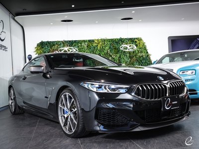 2019 BMW 8 SERIES 缩略图 27