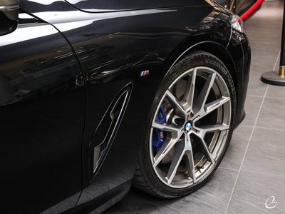 2019 BMW 8 SERIES 缩略图 59