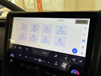 2024 Toyota ALPHARD 缩略图 24