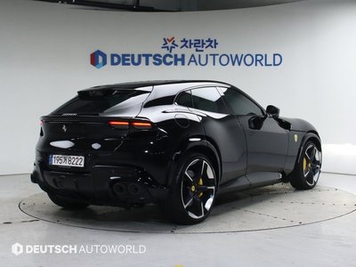 FERRARI PUROSANGUE - 4