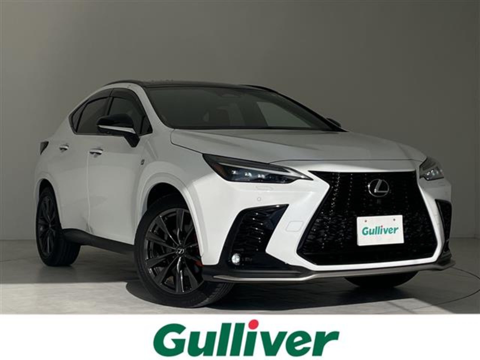 LEXUS NX - View 1