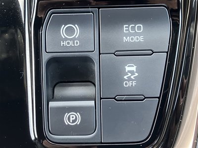 2023 Toyota ALPHARD 缩略图 29