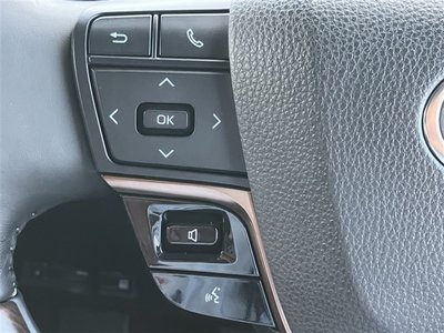 2023 Toyota ALPHARD 缩略图 30