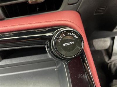 2024 Lexus NX — миниатюра 30