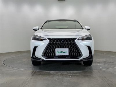 2024 Lexus NX — миниатюра 64