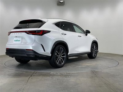 2024 Lexus NX — миниатюра 74
