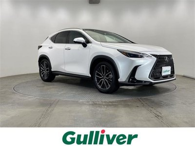 2024 Lexus NX 照片 1