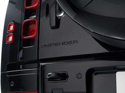 2025 LAND Rover DEFENDER — миниатюра 60