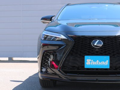 LEXUS NX - 9