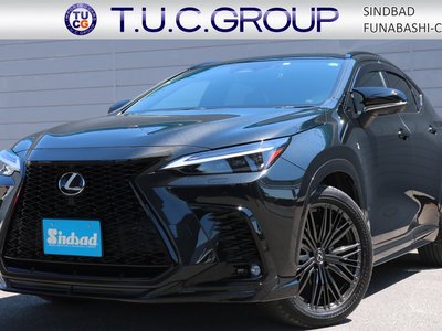 LEXUS NX - 1