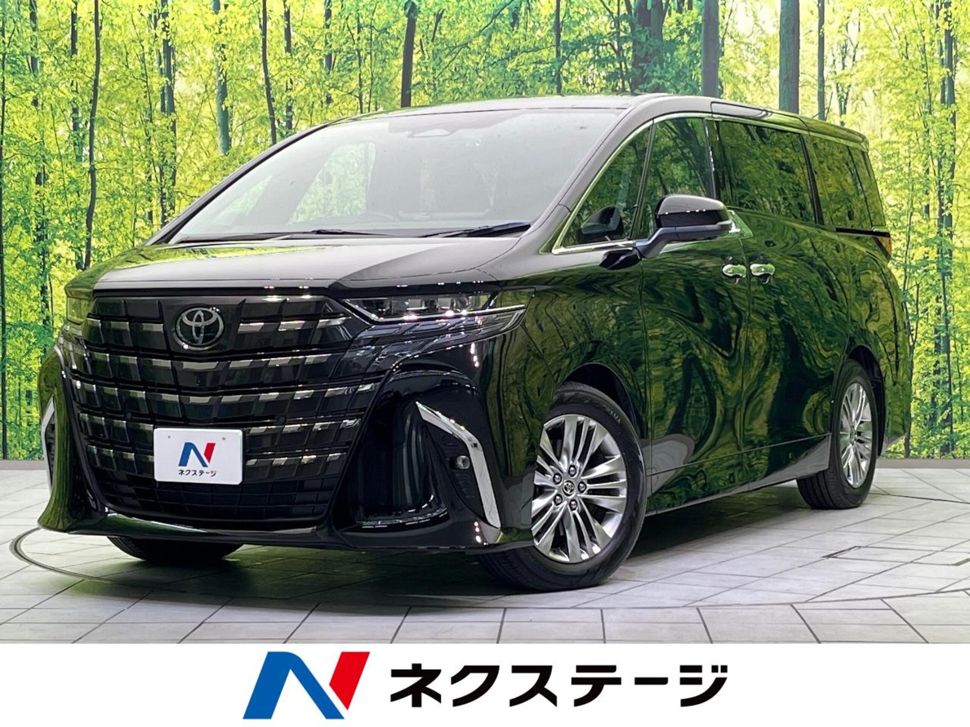 TOYOTA ALPHARD - View 1