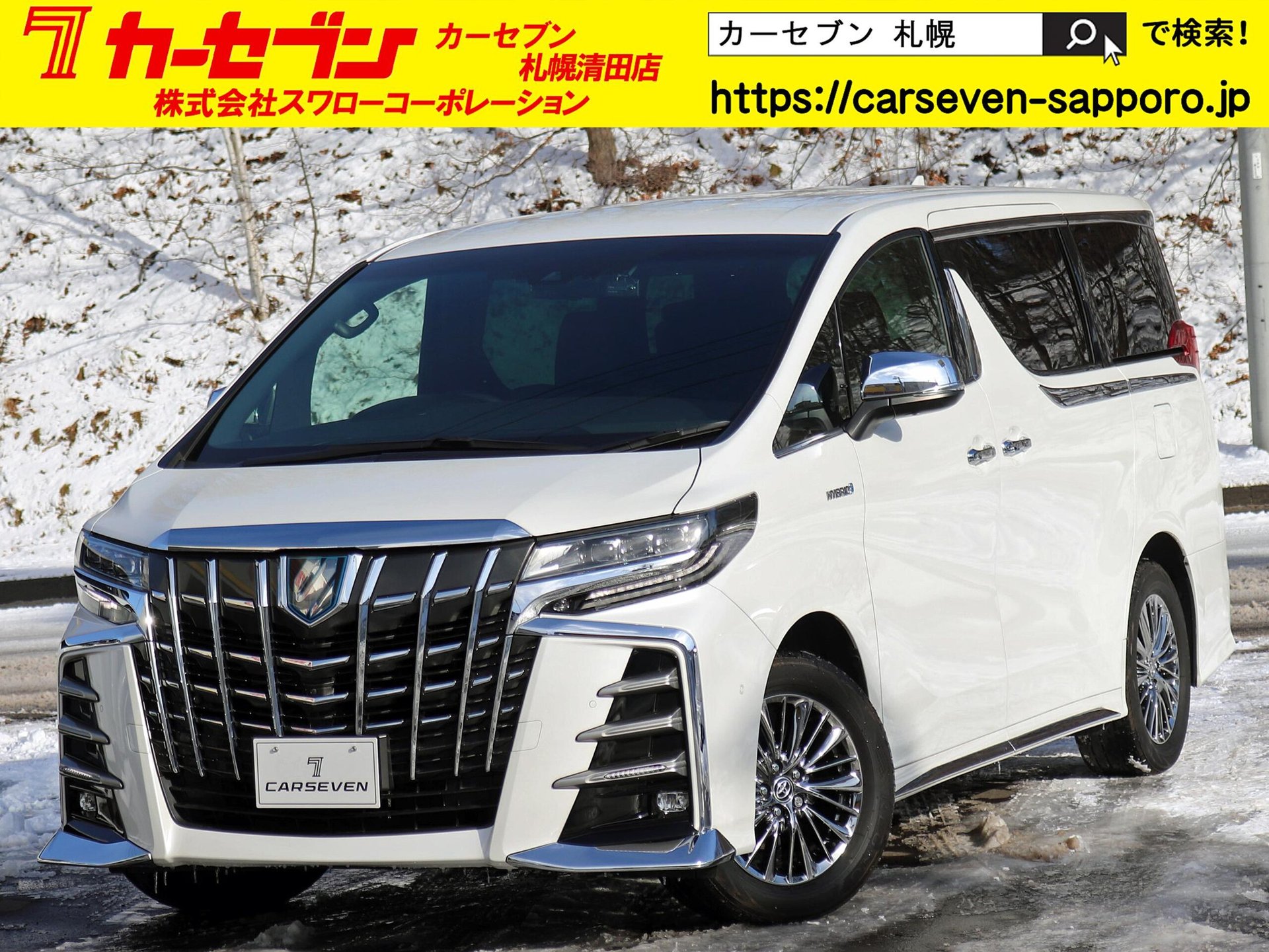 TOYOTA ALPHARD - View 1