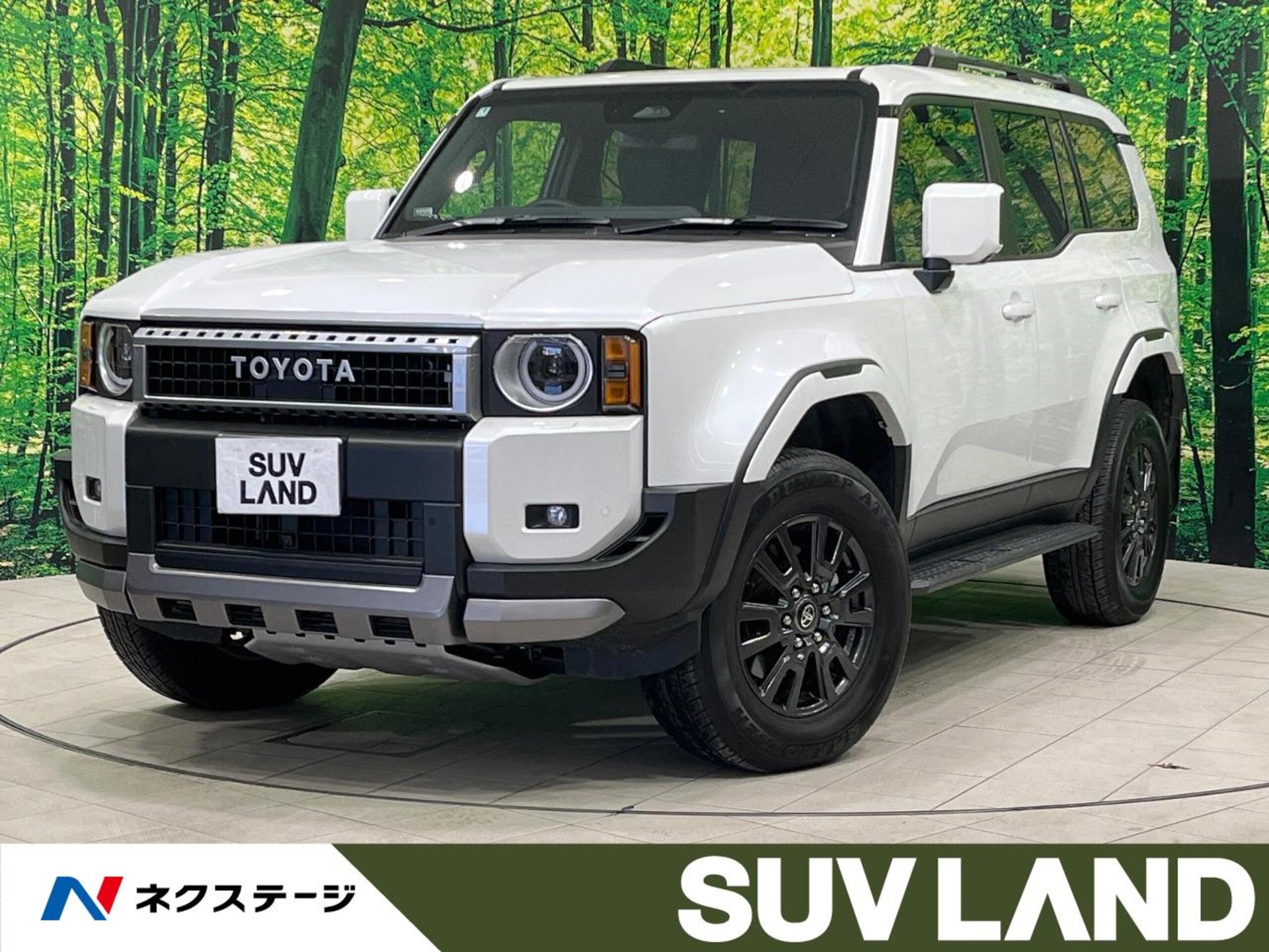 TOYOTA LAND CRUISER 250 - View 1