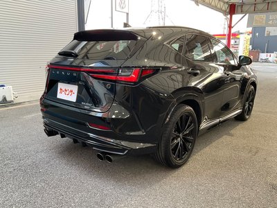 LEXUS NX - 6