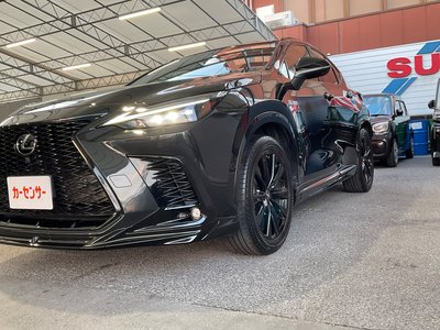 2025 Lexus NX 缩略图 38