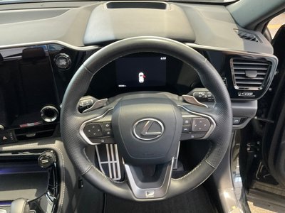 2025 Lexus NX 缩略图 11