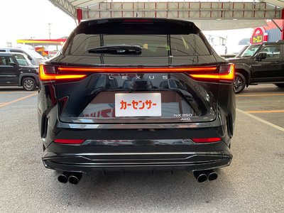 2025 Lexus NX 缩略图 33