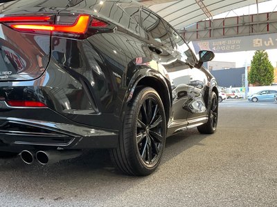 2025 Lexus NX 缩略图 41