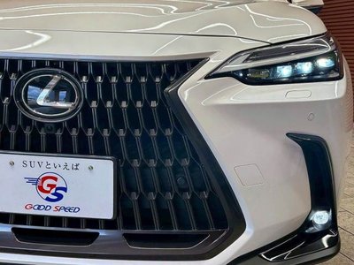 LEXUS NX - 10