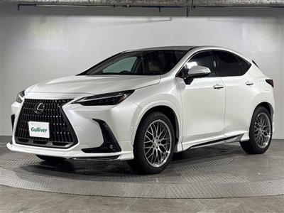 صورة مصغرة 31 لـ 2021 Lexus NX