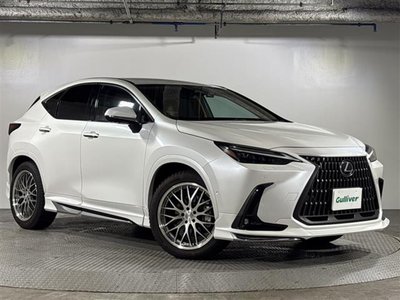 صورة مصغرة 29 لـ 2021 Lexus NX