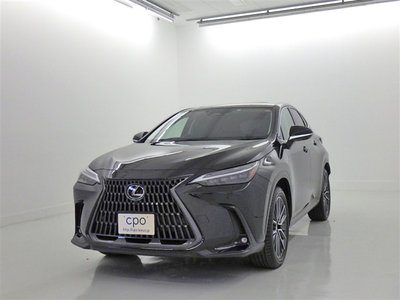LEXUS NX - 1