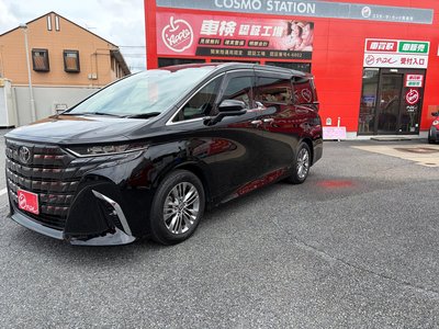 2025 TOYOTA ALPHARD — фото 6
